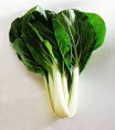 /album/foods/bok-choy-jpg1/